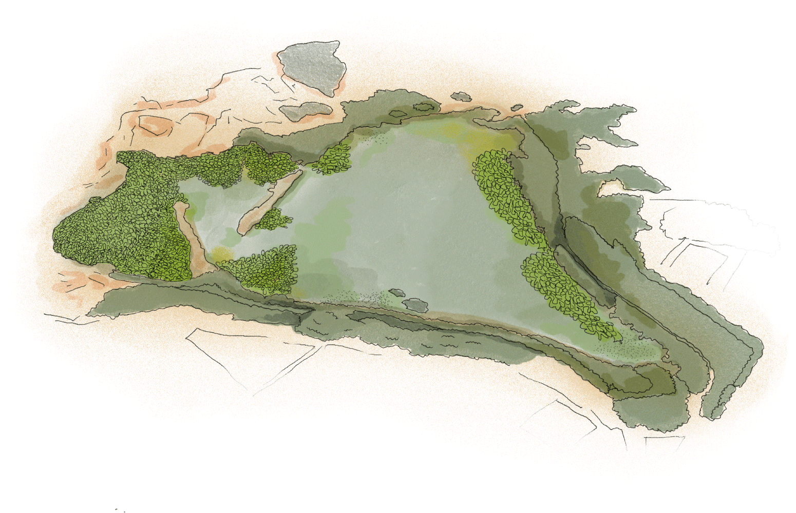 transformation image